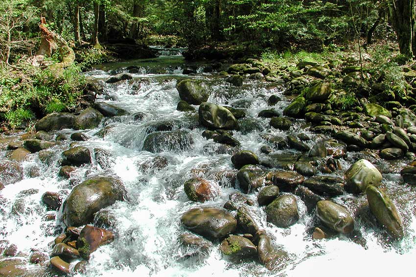 Mountain stream in the National Park