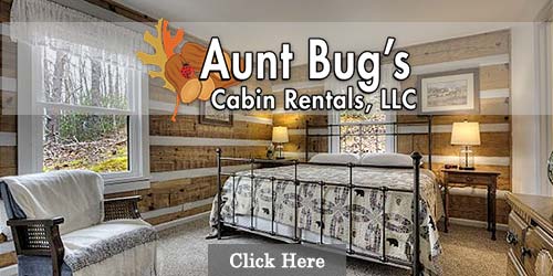 Cabin rentals by Aunt Bugs