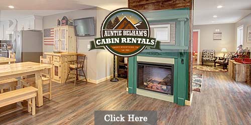Cabins for rent in Sevier County