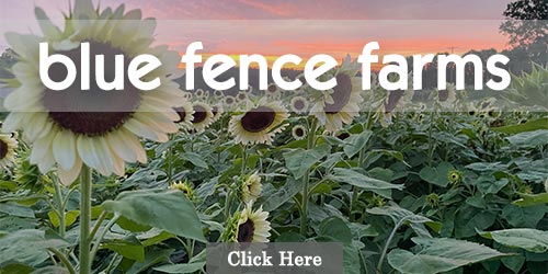 U-Pick flower farm in Tennessee