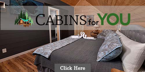 Cabins in and near Gatlinburg, TN