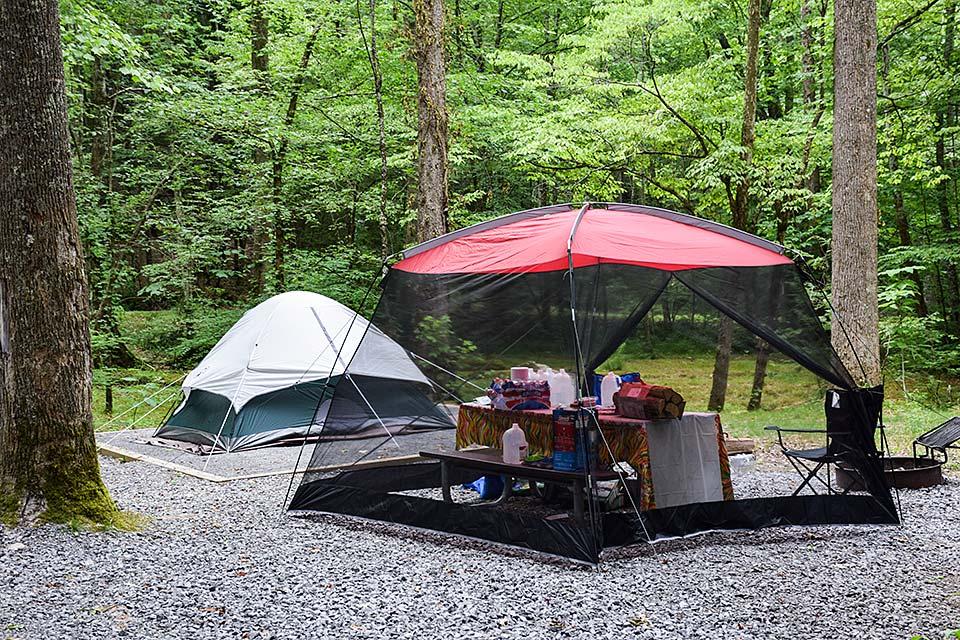 Camping at Elkmont in the Smoky Mountains