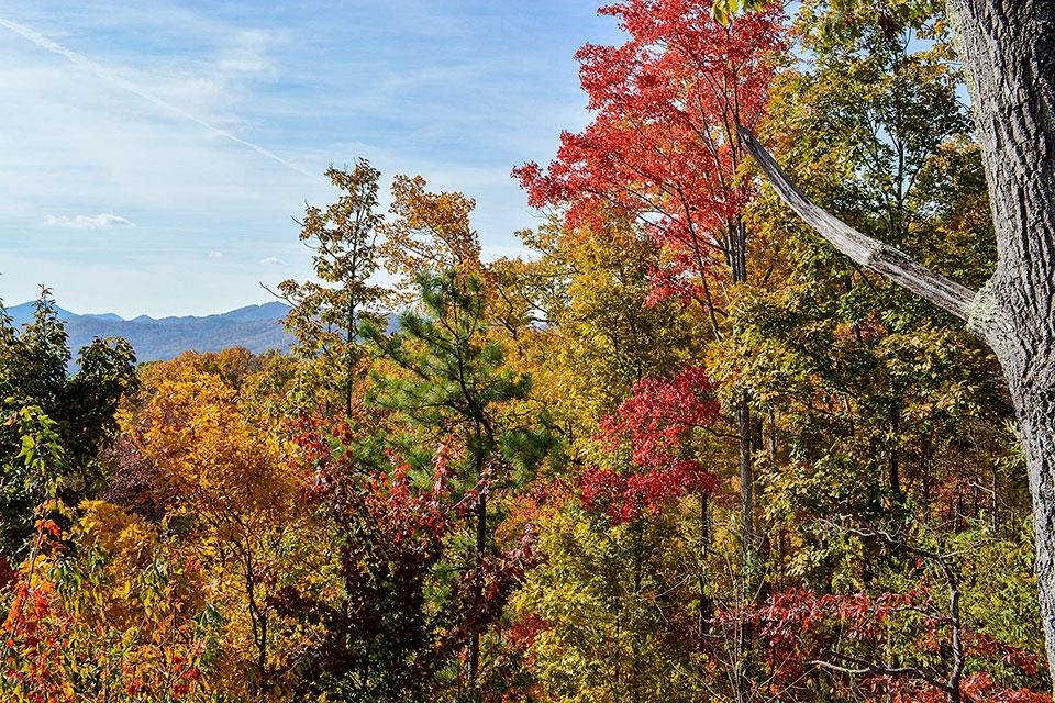 Fall Color In The Smoky Mountains