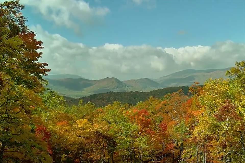 Fall scene in the Smoky Mountains
